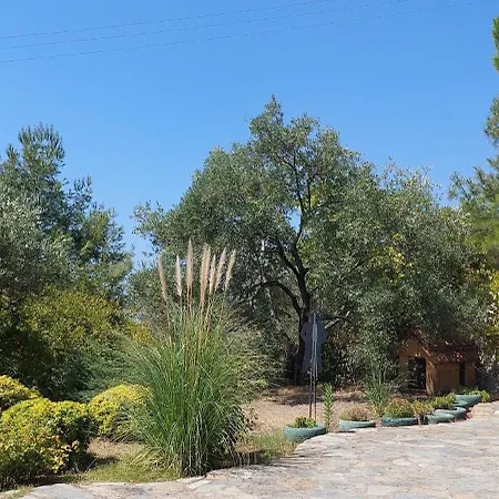 The Stone House 3* ادرميت