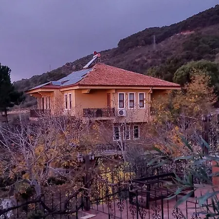 The Stone House *