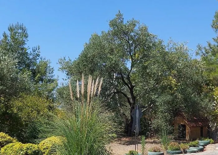 The Stone House 3* Edremit (Balikesir)